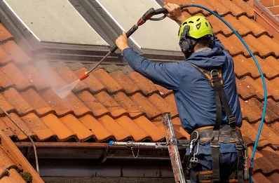 Démoussage et hydrofuge de toiture à Lugos